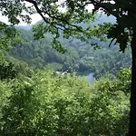 Techov