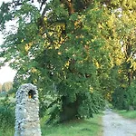 Techov *