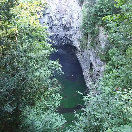 Techov Lejlighed
