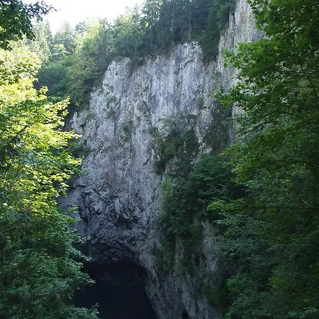 Techov *