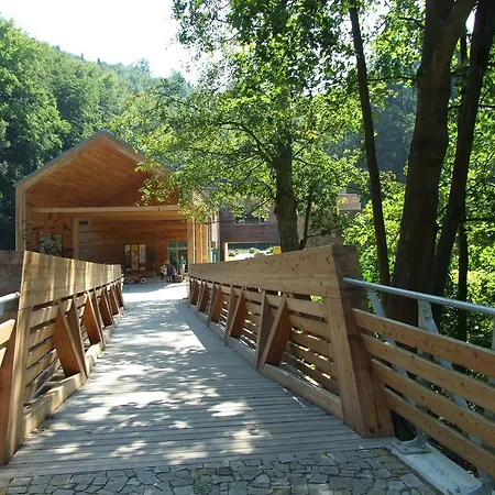 Techov Daire *