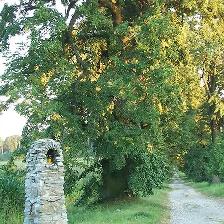 Techov *