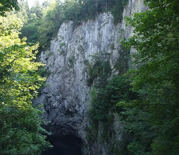 Techov *