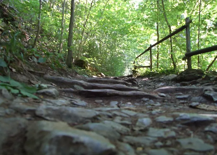 Apartment Techov Lägenhet *