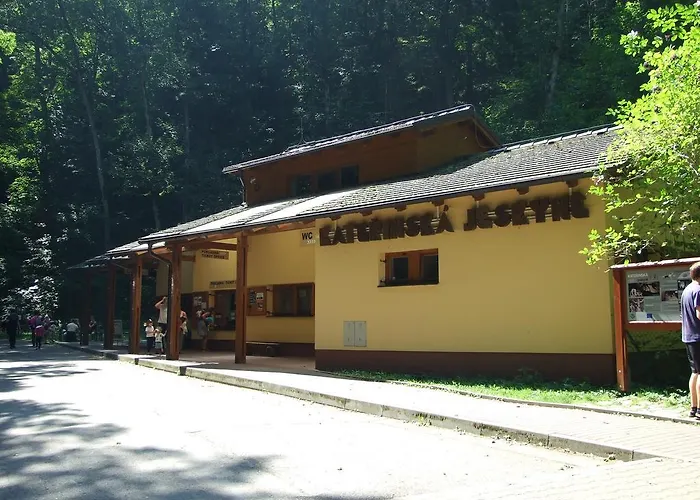 Techov Бланско