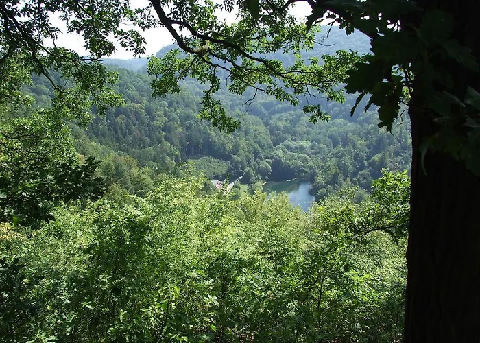 Techov