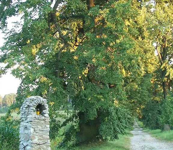 Techov *