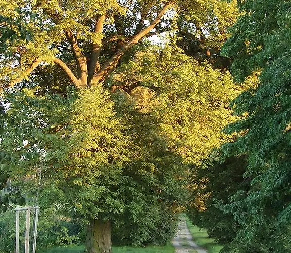 Lägenhet Apartment Techov Blansko